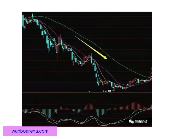 世界杯跟单策略全解析 玩转投注技巧提升收益 轻松把握赛事机会